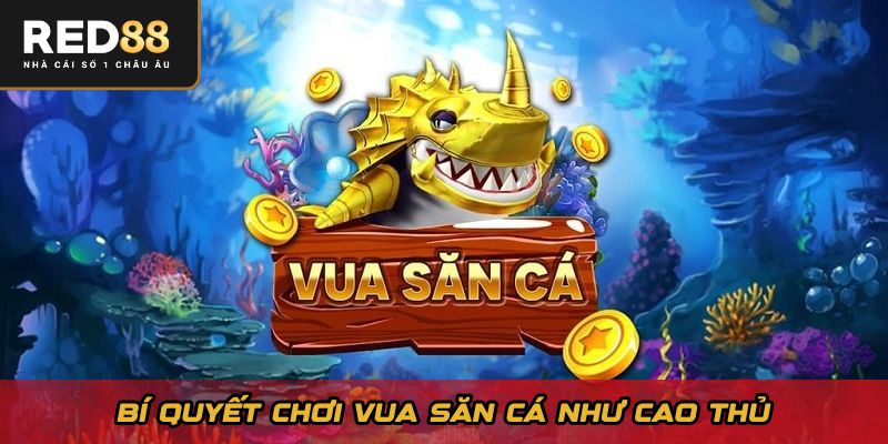 Bí quyết chơi Vua Săn Cá như cao thủ